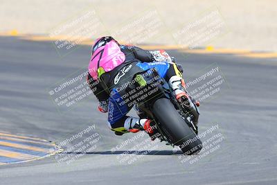 media/Mar-10-2024-SoCal Trackdays (Sun) [[6228d7c590]]/9-Turn 8 Backside (1150am)/